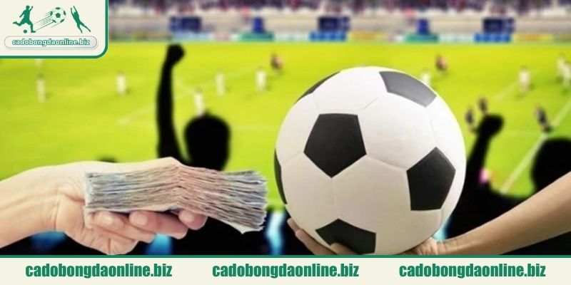 Cá cược thể thao hấp dẫn
