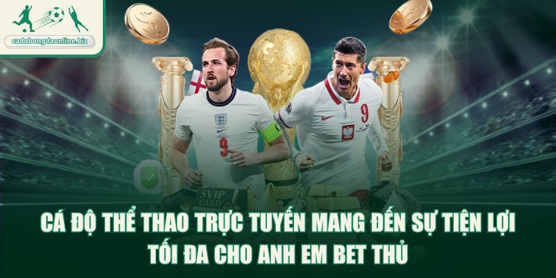 Cá độ thể thao trực tuyến mang đến sự tiện lợi tối đa cho anh em bet thủ