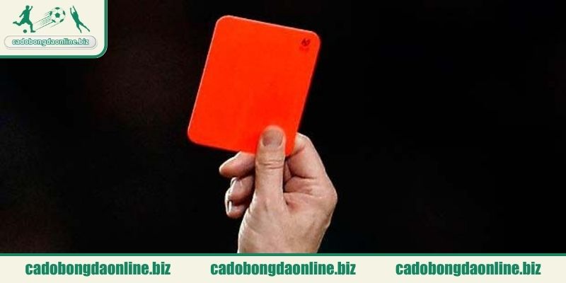 Cách tính kèo thẻ phạt