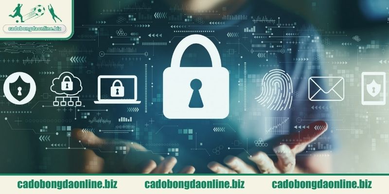 Cụ thể nội dung của chính sách bảo mật trang web