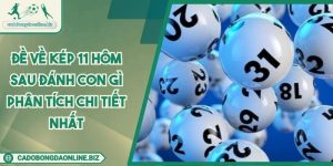 Đề Về Kép 11 Hôm Sau Đánh Con Gì Phân Tích Chi Tiết Nhất