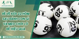Đề Về Kép 22 Hôm Sau Đánh Con Gì Và Mẹo Chơi Lô Đề Hiệu Quả