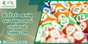 Đề Về Kép 44 Hôm Sau Đánh Con Gì Chuẩn Xác Thắng Lớn