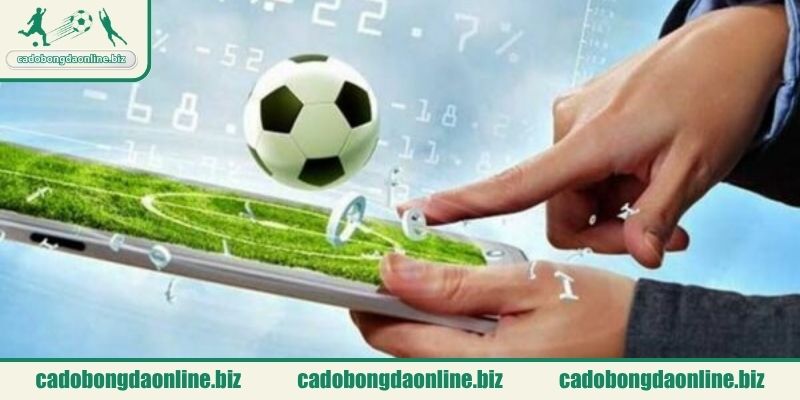 Định hướng tham gia có trách nhiệm