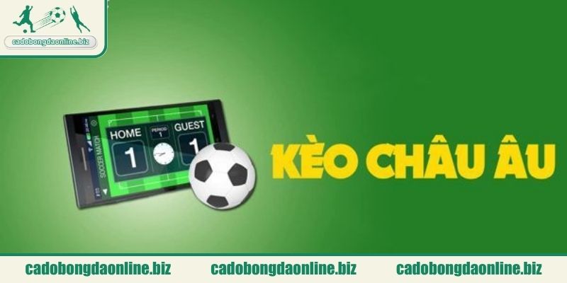 Đọc phân tích từ chuyên gia