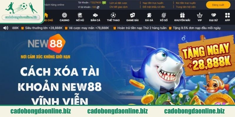 Game bắn cá slot và trò chơi dân gian