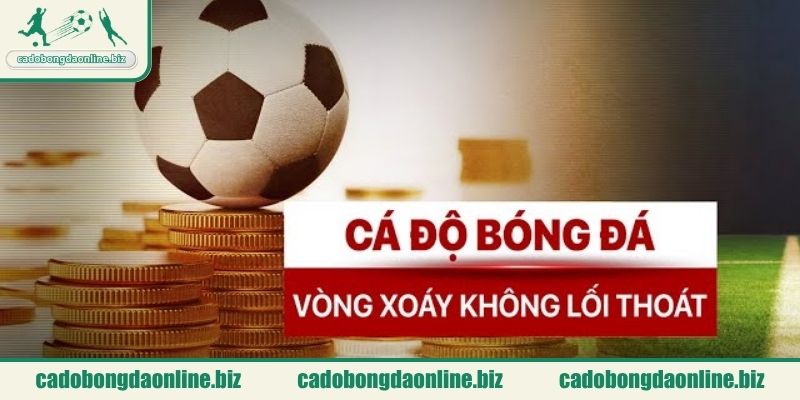 Giá trị cốt lõi của website hướng tới