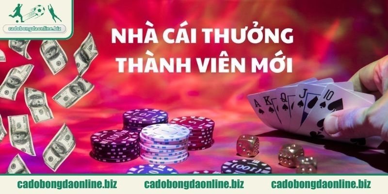 Giới thiệu danh sách những nhà cái tặng vốn miễn phí