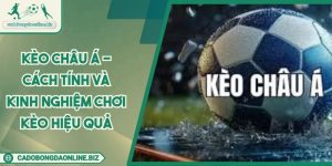 Kèo Châu Á - Cách Tính và Kinh Nghiệm Chơi Kèo Hiệu Quả
