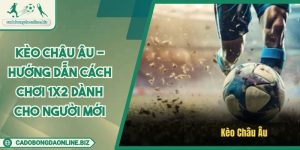 Kèo Châu Âu - Hướng Dẫn Cách Chơi 1X2 Dành Cho Người Mới