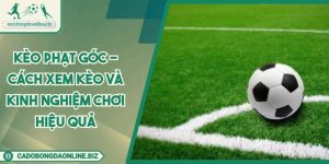 Kèo Phạt Góc - Cách Xem Kèo Và Kinh Nghiệm Chơi Hiệu Quả