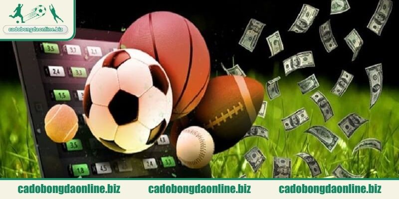 Những yếu tố để chọn địa chỉ giải trí chất lượng