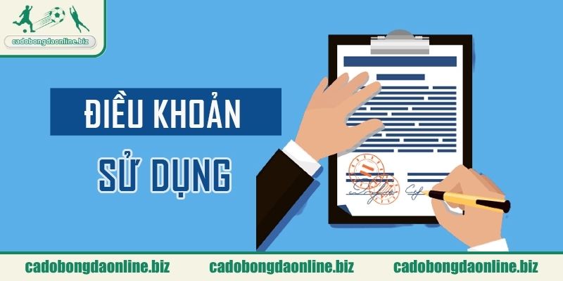 Nội dung điều khoản sử dụng