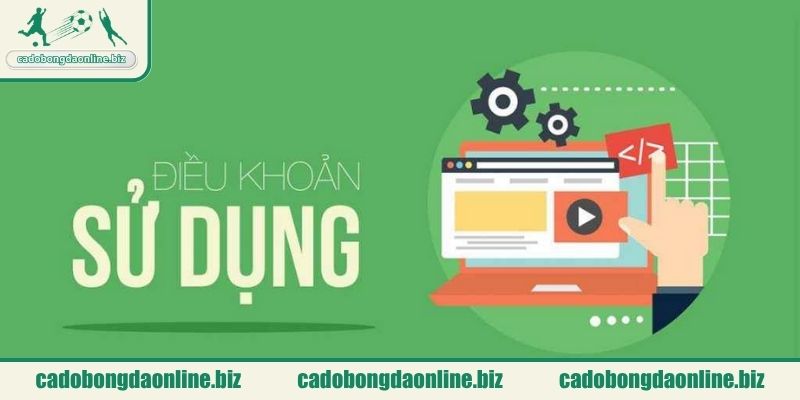 Nội dung hiển thị và thông tin đăng tải