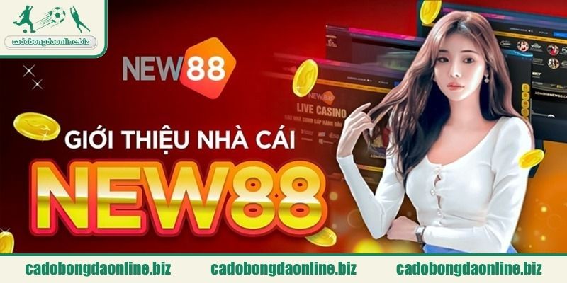 Tổng quan về nhà cái New88